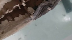 как вы думаете?