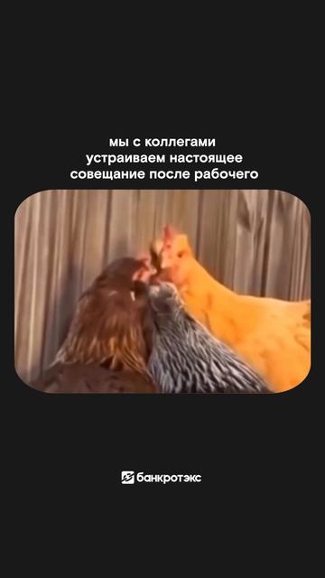 Есть нюансы - нужно обсудить