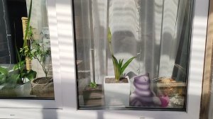 Тёплый апрель.