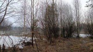 Ловля птиц 4 апреля 2026 год