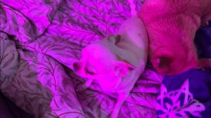 Всем наидобрейшего утречка и чудесного воскресенья!