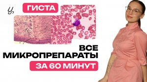 Все микропрепараты по гистологии за час
