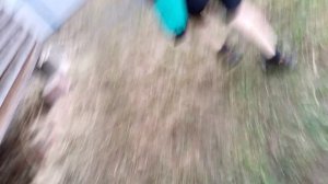 мы гуляем чек (часть 2)