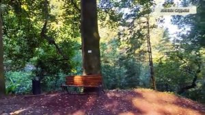 Голос правды.