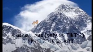 подборка мир денди с скрапс и губом ♥️💙🐱