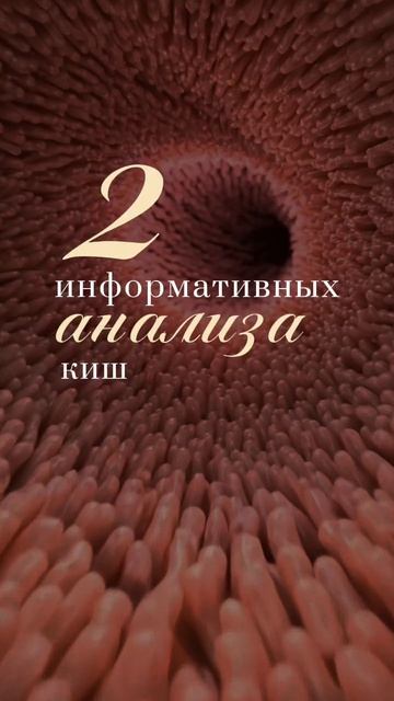 2 анализа кишечника.mp4