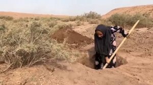 В иранской пустыне.