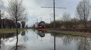 «Гигантская лужа» Трамвай «Витязь-М» (71-931М) №8990 по маршруту №52 в Санкт-Петербурге, 2026 год