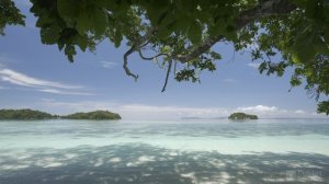 Тропический пляж в разрешении 2K HDR - Мирный Дикий остров - Расслабляющее видео о природе