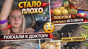 ЛИСА В АМЕРИКЕ- Попала в больницу Свекровь удивила!😱 Покупки из Walmart, Aldi иВлогСША
