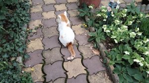 Весна!Весна!