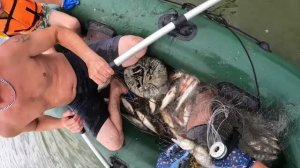 Судак и язь в каждый заброс!!!! С кастинговой сетью на лодке