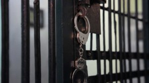 Главу Токсовского горпоселения Ленобласти задержали по делу о взятках