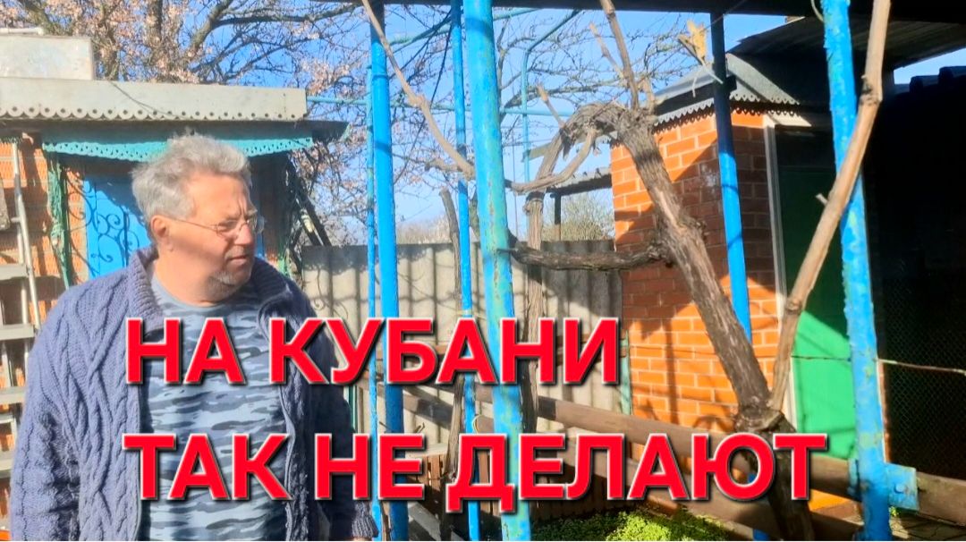 1153 Их нужно выпускать. На Кубани так не делают. Всю ночь шёл дождь.