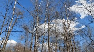 Творческая мастерская чтеца