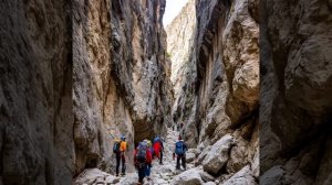 Счастье живет рядом с нами