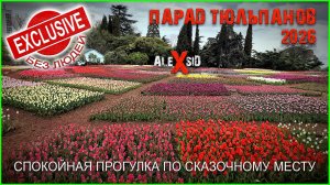 ЭКСКЛЮЗИВНЫЙ ПАРАД ТЮЛЬПАНОВ / Крым / Ялта / Никитский ботанический сад