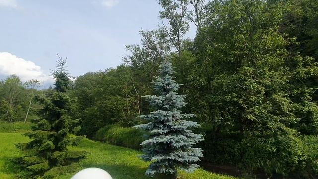 20250707 трапезная на Гремячем ключе