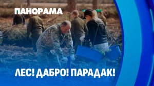 "Лес! Дабро! Парадак!": Тысячи белорусов выходят на посадку нового леса! Панорама