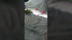 Бяя! 🎅💥🚀(^_-)🌯! Мишкая.mp4