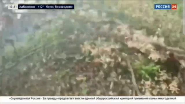 23.09.2023г Россия 24. Воложанин Александр позывной 