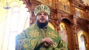 В праздник Входа Господня в Иерусалим Управляющий Амурской епархией совершил Литургию