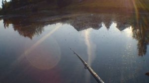 Рыбалка на рассвете на поплавок, ловля карася на поплавочную удочку - часть первая