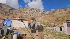 История любви, войны.