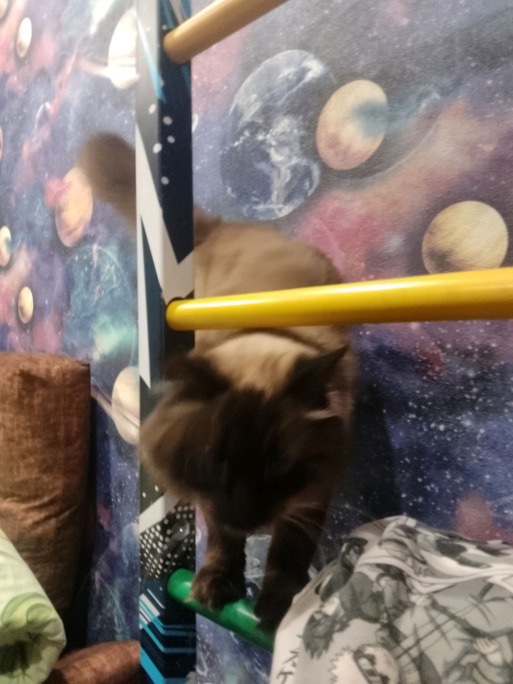 разговариваем