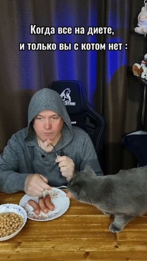 Ночные перекусы с котом...