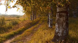 Наталья Симонова - Листопад