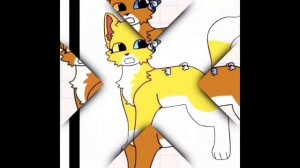 На конкурс леопардовой звезде