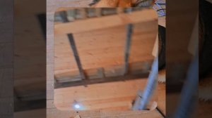 1000055043.mp4 (Собака наблюдает за устройством лестницы на 2-ой этаж в доме А-фрейм)