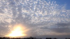 СТРАННАЯ КОМПОЗИЦИЯ.РОБОТ ГИТАРИСТ.