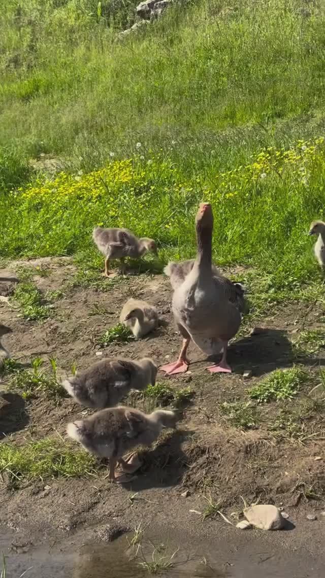 Совсем скоро новый сезон😍