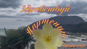 Крым, весна 2026. Здравствуй, Партенит! Что новенького?