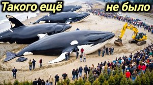 04-04-2026. ЧП. КАТАКЛИЗМЫ. КАТАСТРОФЫ, ПРОИСШЕСТВИЯ ЗА ДЕНЬ. новости дня. СЕГОДНЯ