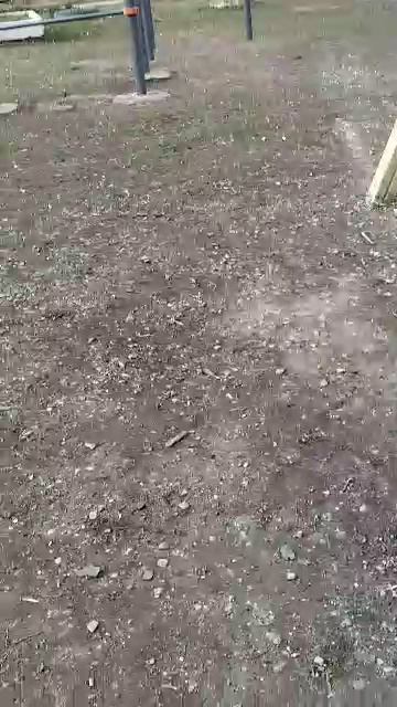 . смотреть онлайн