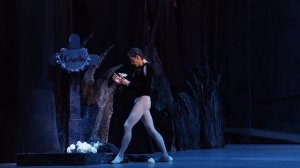 Балетмейстер Мариус Петипа в России