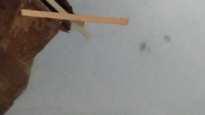 потопление худа 2 часть