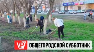 4 ТЫСЯЧИ ЧЕЛОВЕК ПРИНЯЛИ УЧАСТИЕ В ПЕРВОМ СУББОТНИКЕ 2026 ГОДА В ВОЛГОГРАДЕ