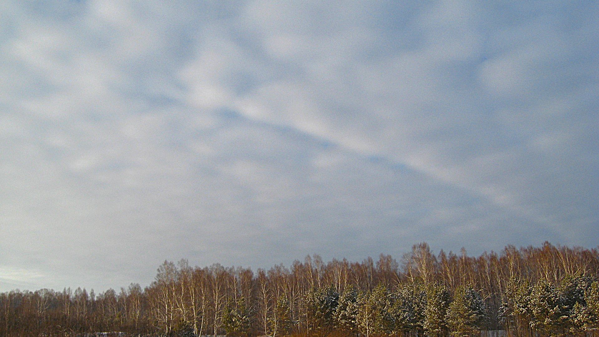 Сходили прогуляться, заодно зашли на речку