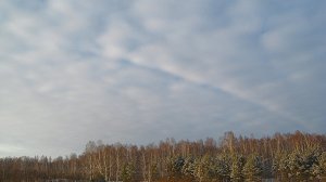 Сходили прогуляться, заодно зашли на речку