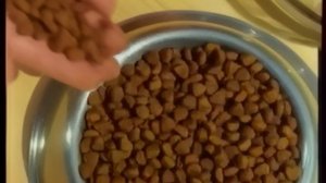 Рекламные блоки, анонс, программа передач, заставки (ТВ-6, 04.04.1998)