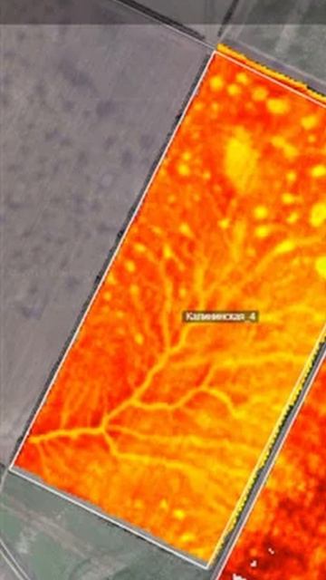 Что такое индекс NDVI?