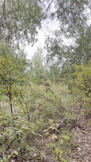 ВЫЕХАЛИ НА ПРИРОДУ ОТДОХНУТЬ.