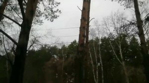 Высоченная картина