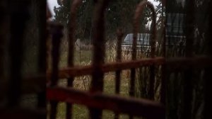 Этот звук мотора узнаешь из тысячи