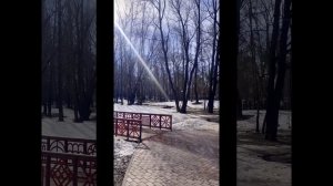 Весна Вологда пробежка