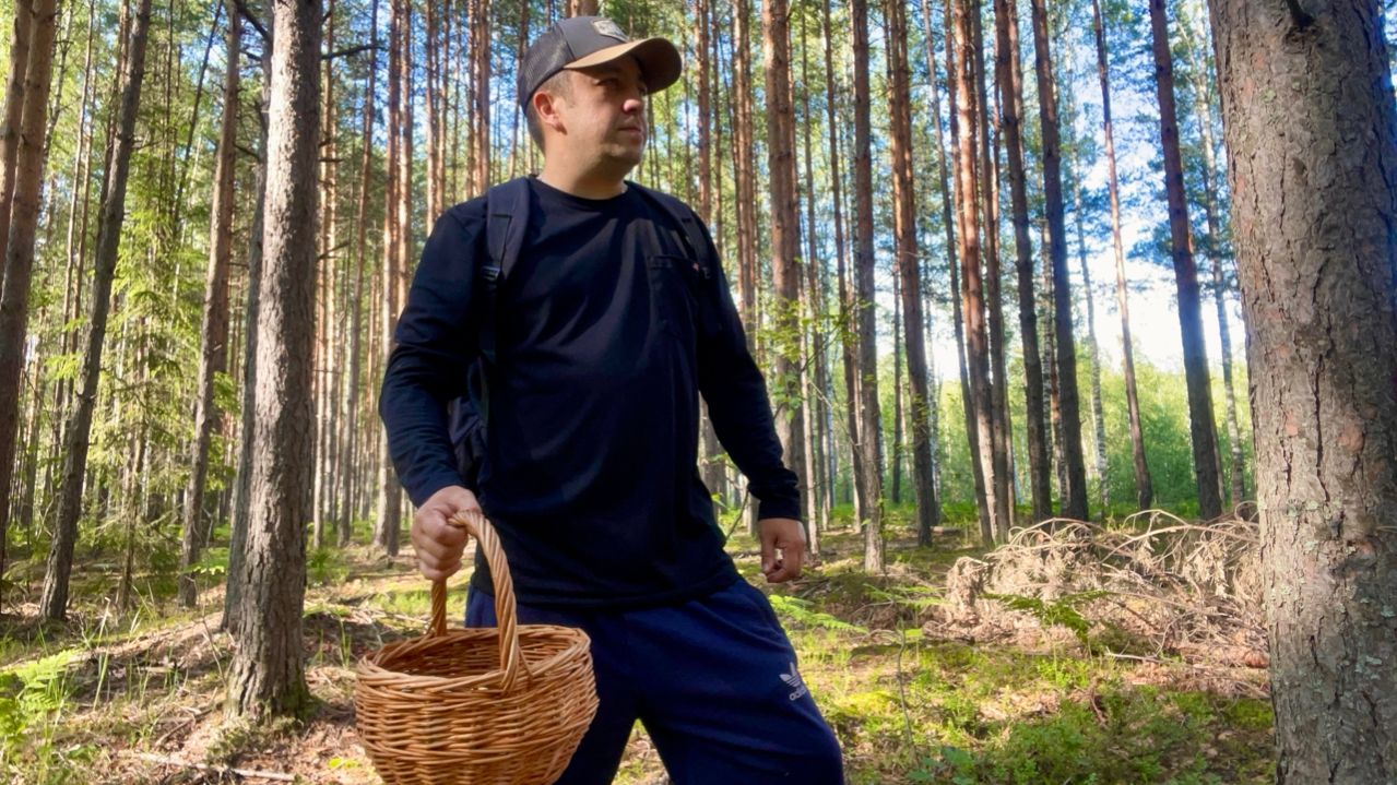 ОТЛИЧНАЯ ТИХАЯ ОХОТА ПО ГРИБНОЙ ТРОПЕ! Грибы разных видов